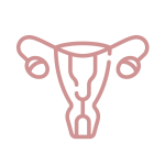 Sin título-8_Mesa de trabajo 1 copia 15