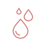 Sin título-8_Mesa de trabajo 1 copia 19