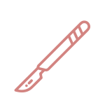 Sin título-8_Mesa de trabajo 1 copia 21